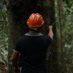 [:pb]O Idesam apoia produtores de Copaíba nos lugares mais remotos, como no PAE Aripuanã-Guariba (Apuí), um assentamento com cinco comunidades que escoam sua produção de óleo com a ajuda logística do instituto, que também promove cursos de boas práticas sustentáveis de extração e oficinas de gestão de negócios, financiado pelo edital Floresta em Pé/FAS.[:]