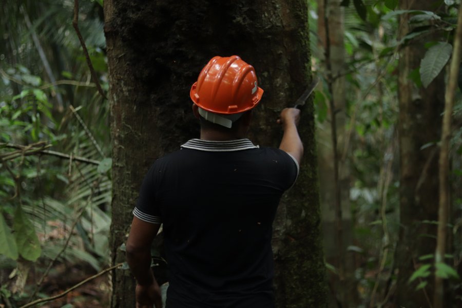 [:pb]O Idesam apoia produtores de Copaíba nos lugares mais remotos, como no PAE Aripuanã-Guariba (Apuí), um assentamento com cinco comunidades que escoam sua produção de óleo com a ajuda logística do instituto, que também promove cursos de boas práticas sustentáveis de extração e oficinas de gestão de negócios, financiado pelo edital Floresta em Pé/FAS.[:]